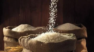 تحديث مباشر سعر طن الأرز في الأسواق اليوم الأحد